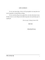 tìm hiểu quy trình chế biến sản phẩm dứa lạnh đông iqf