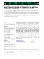Tài liệu Báo cáo khoa học: Accessibility changes within diphtheria toxin T domain when in the functional molten globule state, as determined using hydrogen⁄deuterium exchange measurements pdf