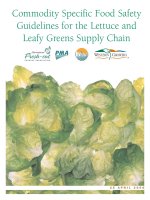 Tài liệu Commodity Specific Food Safety Guidelines for the Lettuce and Leafy Greens Supply Chain ppt
