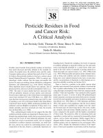 Tài liệu Pesticide Residues in Food and Cancer Risk: A Critical Analysis pdf