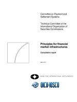 Tài liệu Principles for financial market infrastructures: Consultative report doc