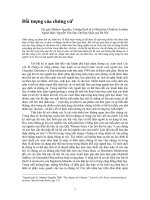 Tài liệu Báo cáo 