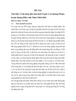 tìm hiểu về hộ nông dân làm kinh tế giỏi ở xã quảng phước, huyện quảng điền, tỉnh thừa thiên huế