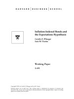 Tài liệu Inflation-Indexed Bonds and the Expectations Hypothesis pdf