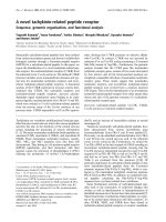 Tài liệu Báo cáo khoa học: A novel tachykinin-related peptide receptor docx