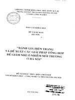 Tài liệu Đánh giá hiện trạng và đề xuất các giải pháp tổng hợp để giảm nhẹ ô nhiễm môi trường ở Hà Nội pptx