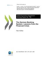 Tài liệu The German Banking System: Lessons from the Financial Crisis pptx