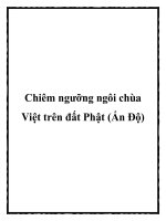 Tài liệu Chiêm ngưỡng ngôi chùa Việt trên đất Phật (Ấn Độ) potx