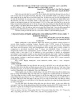 Tài liệu BÁO CÁO 