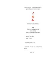 Ứng dụng lý thuyết hệ thống vào bài toán phát hiện, định vị sự cố trong quản lý viễn thông