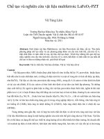 Chế tạo và nghiên cứu vật liệu multferroic lafeo3 PZT