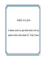 Chính sách tỷ giá hối đoái với sự phát triển nền kinh tế Việt Nam