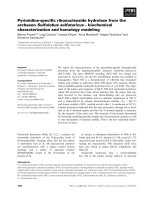 Tài liệu Báo cáo khoa học: Pyrimidine-speciﬁc ribonucleoside hydrolase from the archaeon Sulfolobus solfataricus – biochemical characterization and homology modeling doc