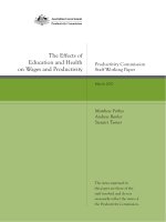 Tài liệu The Effects of Education and Health on Wages and Productivity ppt