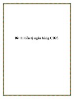 Tài liệu Đề thi tiền tệ ngân hàng CD23 pot