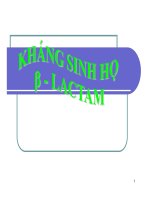 Tài liệu Kháng sinh họ β-lactamin ppt