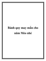 Tài liệu Bánh quy may mắn cho năm Mèo nhé pptx