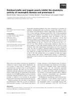 Tài liệu Báo cáo khoa học: Oxidized elaﬁn and trappin poorly inhibit the elastolytic activity of neutrophil elastase and proteinase 3 pdf