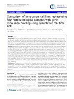 Tài liệu Comparison of lung cancer cell lines representing four histopathological subtypes with gene expression profiling using quantitative real-time PCR pptx