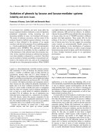 Tài liệu Báo cáo Y học: Oxidation of phenols by laccase and laccase-mediator systems doc