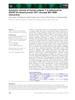 Tài liệu Báo cáo khoa học: Autolytic activity of human calpain 7 is enhanced by ESCRT-III-related protein IST1 through MIT–MIM interaction pptx