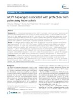 Tài liệu MCP1 haplotypes associated with protection from pulmonary tuberculosis doc