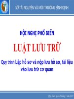 Tài liệu LUẬT LƯU TRỮ - Quy trình Lập hồ sơ và nộp lưu hồ sơ, tài liệu vào lưu trữ cơ quan pot
