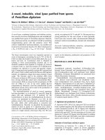 Tài liệu Báo cáo Y học: A novel, inducible, citral lyase puriﬁed from spores of Penicillium digitatum docx