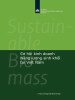 cơ hội kinh doanh năng lượng sinh khối tại việt nam