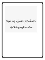 Tài liệu Ngôi mộ người Việt cổ niên đại hàng nghìn năm docx