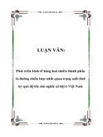 Tài liệu LUẬN VĂN: Phát triển kinh tế hàng hoá nhiều thành phần là đường chiến lược nhất quan trọng suốt thời kỳ quá độ lên chủ nghĩa xã hội ở Việt Nam pptx