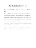 Tài liệu Bài thuốc từ chim bồ câu docx