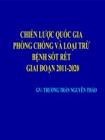 Tài liệu CHIẾN LƯỢC QUỐC GIA PHÒNG CHỐNG VÀ LOẠI TRỪ BỆNH SỐT RÉT potx