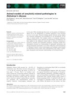 Tài liệu Báo cáo khoa học: Animal models of amyloid-b-related pathologies in Alzheimer’s disease docx