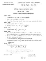 Tài liệu Đề Thi Học Sinh Giỏi Lớp 12 Toán 2013 - Phần 1 - Đề 28 docx