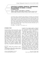 Tài liệu STRATEGIC PLANNING–FINANCIAL PERFORMANCE RELATIONSHIPS IN BANKS: A CAUSAL EXAMINATION ppt