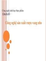 Công nghệ sản xuất rượu vang nho