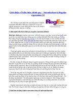 Tài liệu Biểu thức chính quy pptx