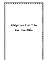 Tài liệu Ghép Cam Vinh Trên Gốc Bưởi Diễn docx