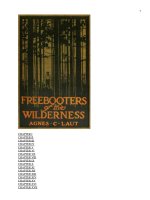 Tài liệu THE FREEBOOTERS OF THE WILDERNESS ppt