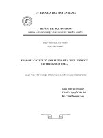 Tài liệu KHẢO SÁT CÁC YẾU TỐ ẢNH HƯỞNG ĐẾN CHẤT LƯỢNG CỦ CẢI TRẮNG MUỐI CHUA pdf