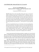 Tài liệu VỀ CÁC LOẠI HÌNH HIỆN VẬT TRONG DI TÍCH VĂN HÓA SA HUỲNH Ở QUẢNG NAM doc