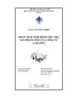 Tài liệu Đề Tài: Phân tích tình hình tiêu thu sản phẩm tôm của công ty Cafatex, Hậu Giang docx