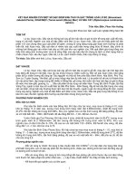 Tài liệu KẾT QUẢ NGHIÊN CỨU MỘT SỐ ĐẶC ĐIỂM SINH THÁI VÀ GÂY TRỒNG LOÀI LÒ BO (Brownlowia tabularis Pierre), XOAN MỘC (Toona surenii (Blume) Merr) VÀ DẦU CÁT (Dipterocarpus condorensis Ashton) pptx