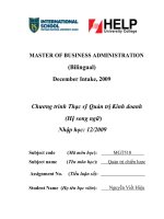 Hoàn thiện chiến lược phát triển trong giai đoạn 2011 – 2015 tại Tổng công ty Vinaconex