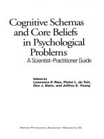 Tài liệu Cognitive Schemas and Core Beliefs in Psychological Problems A Scientist-Practitioner Guide doc