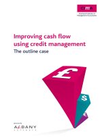 Tài liệu Improving cash flow using credit management - The outline case docx