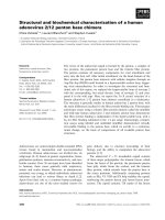 Tài liệu Báo cáo khoa học: Structural and biochemical characterization of a human adenovirus 2/12 penton base chimera pptx