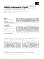 Tài liệu Báo cáo khoa học: Integral membrane proteins in the mitochondrial outer membrane of Saccharomyces cerevisiae docx