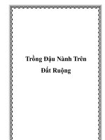 Tài liệu Trồng Đậu Nành Trên Đất Ruộng docx